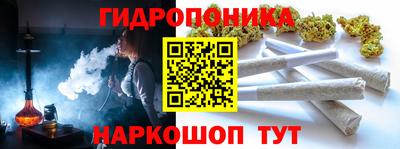 прущие крисы Краснознаменск