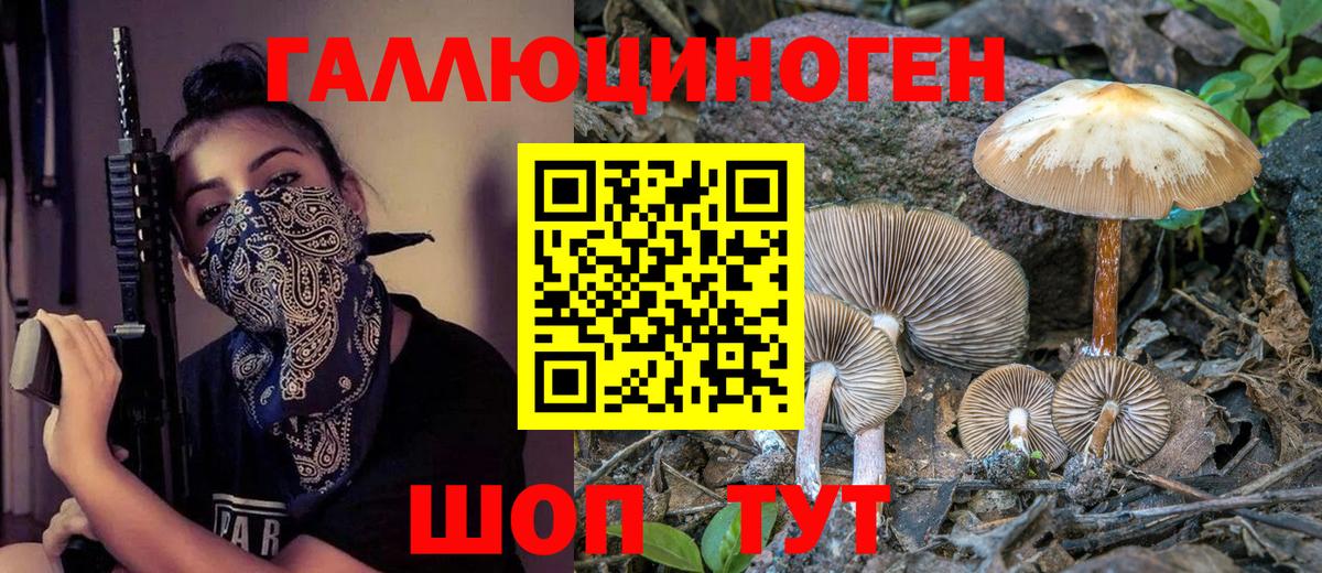 закладка  Вход с VPN  Евпатория  Галлюциногенные грибы мухоморы 